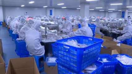 燃起來 | “虎”力全開 生物制品生產的“開工即決戰”之路